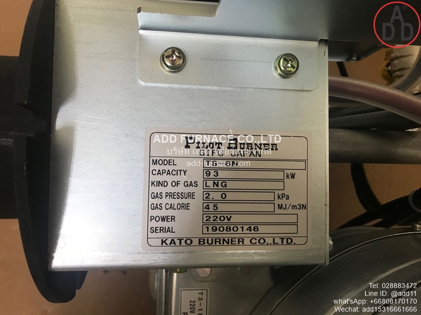 Pilot Burner TS-8N (2)